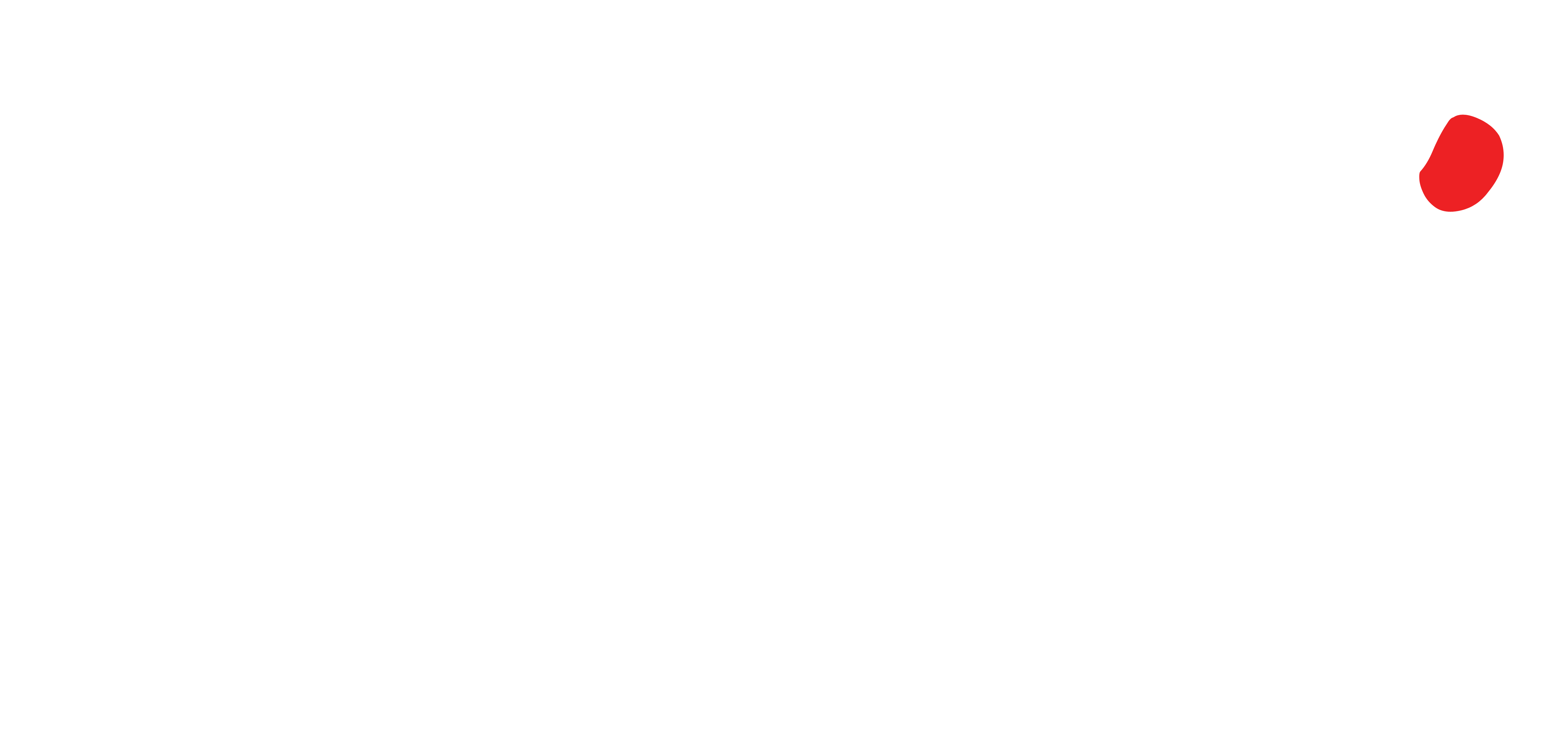 Logo Tojumi