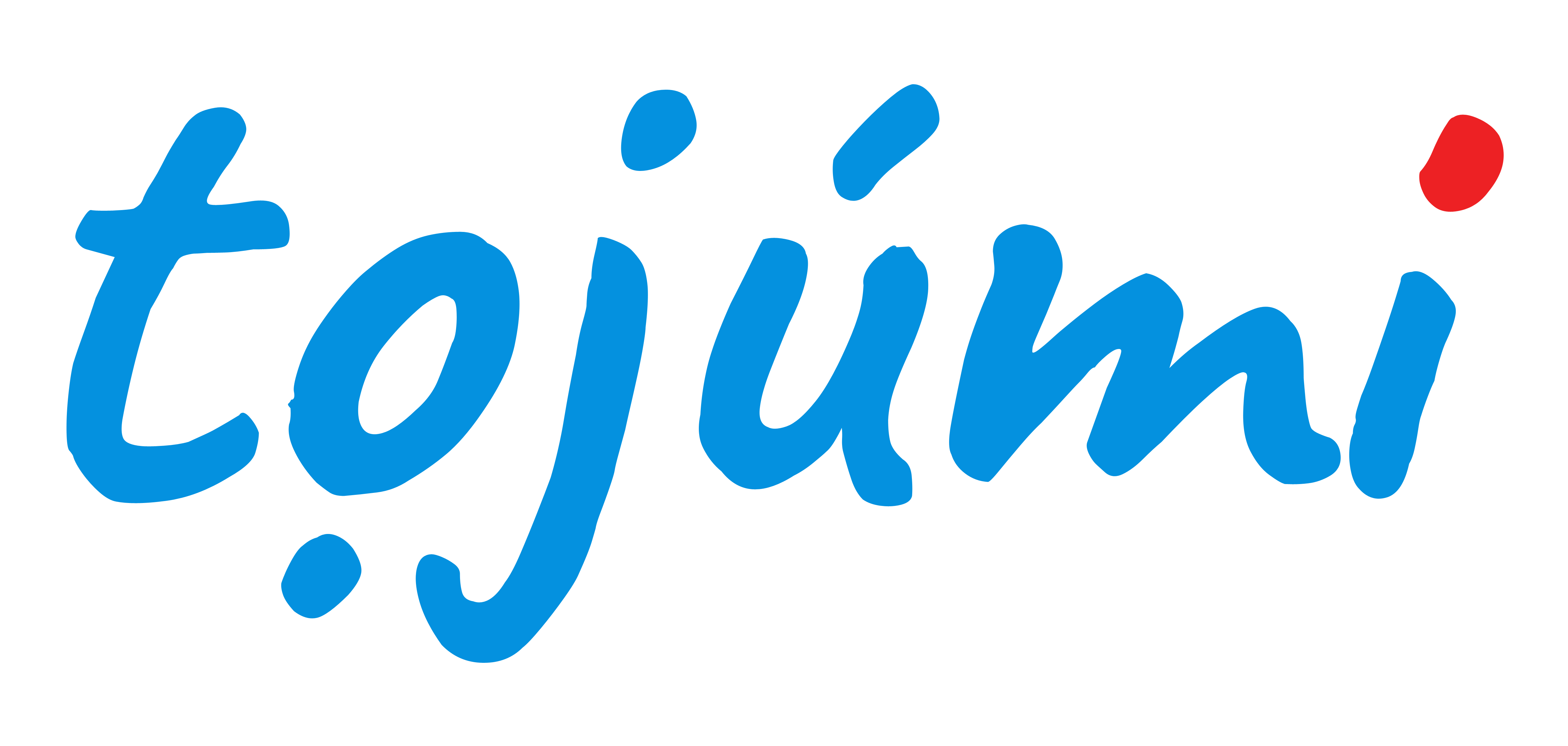 Logo tojumi